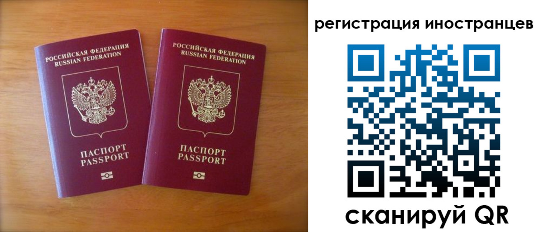 прописка поиск в Николаевске